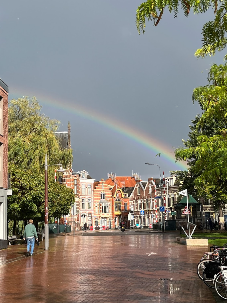 A photograph of a rainbow on a wet late-summer day.