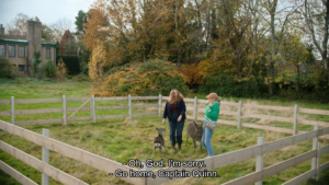 Screencap. Presumably a field behind Tate's house somewhere. In a fenced-off square area are two deer, a small one and a big one, and Catherine Tate and Colonel Daughter.